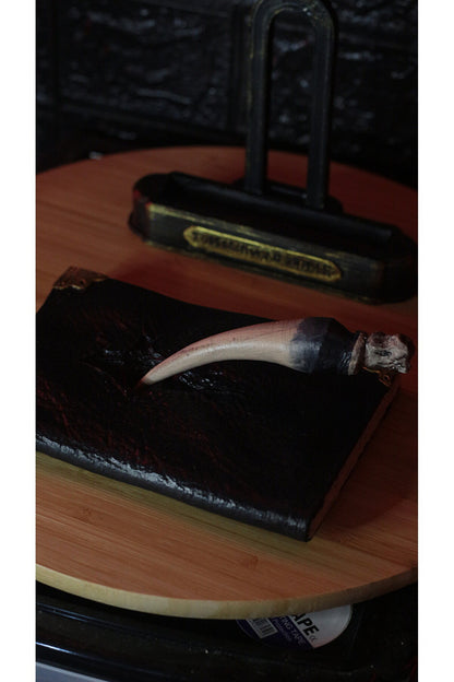 Harry Potter Tom Riddle Diary and Basilisk’s Tooth